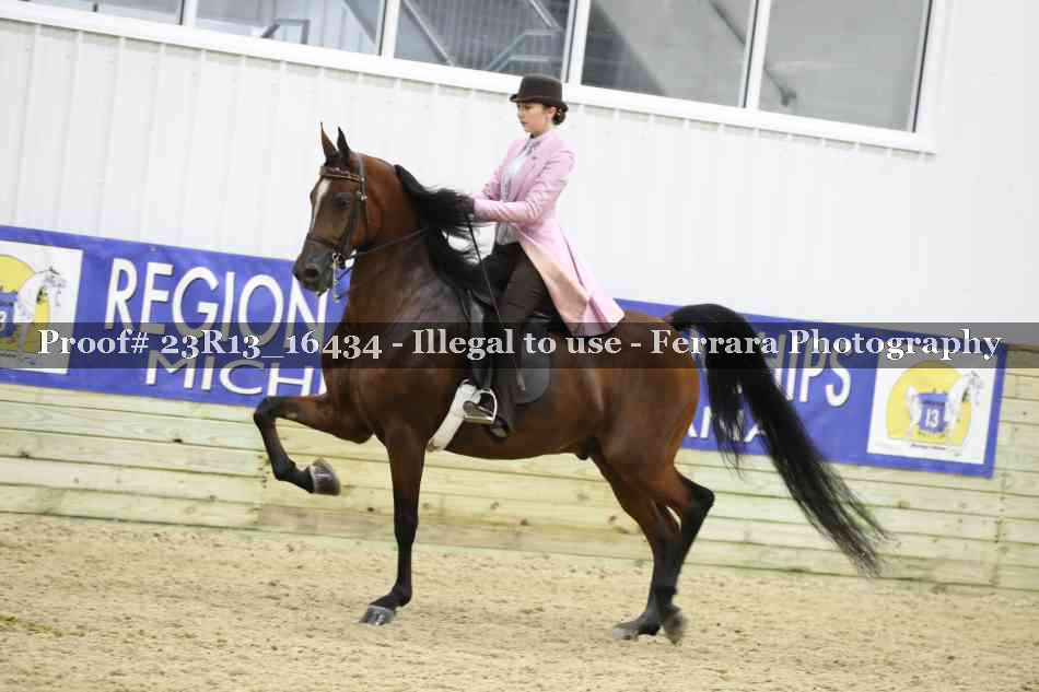 Proof 23R13_16434