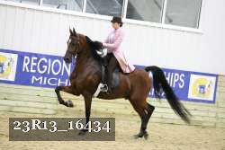 23R13_16434 proof