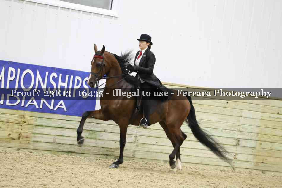 Proof 23R13_16435