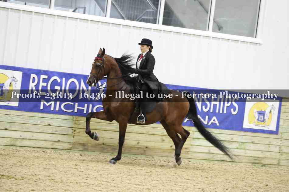 Proof 23R13_16436