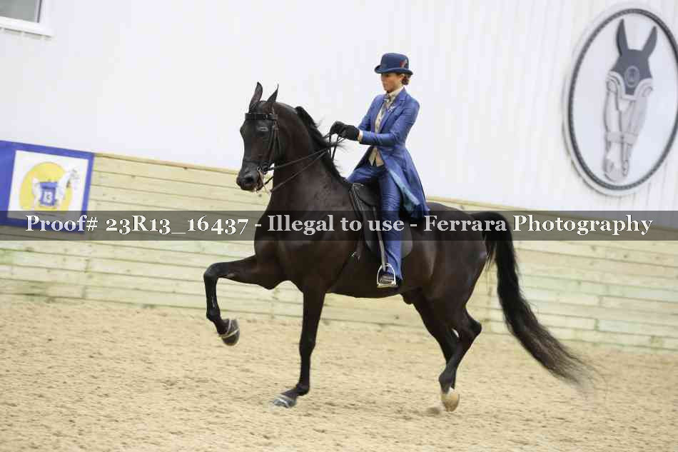 Proof 23R13_16437
