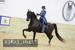 23R13_16437 proof