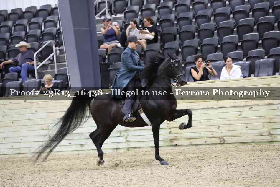 Proof 23R13_16438