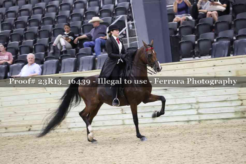 Proof 23R13_16439