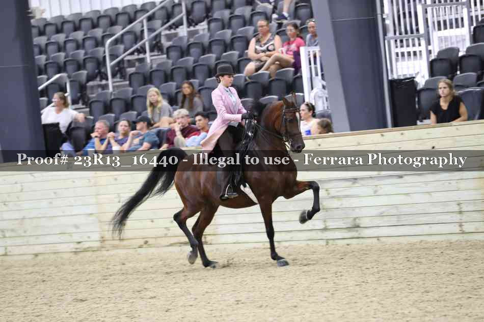 Proof 23R13_16440
