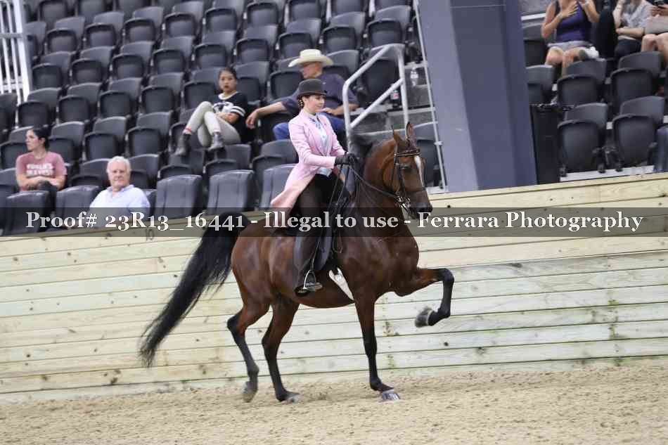 Proof 23R13_16441