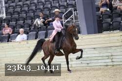 23R13_16441 proof