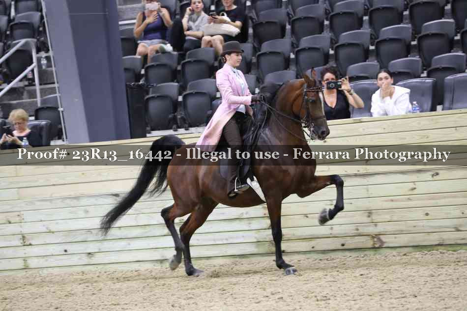 Proof 23R13_16442