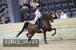 23R13_16442 proof