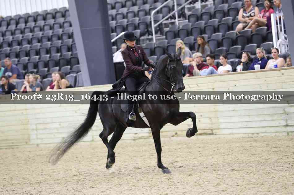 Proof 23R13_16443