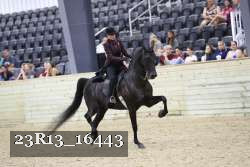 23R13_16443 proof