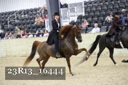 23R13_16444 proof