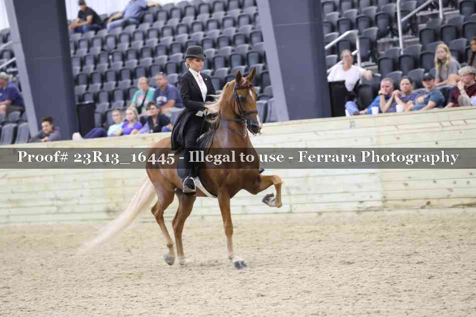 Proof 23R13_16445