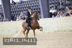 23R13_16445 proof