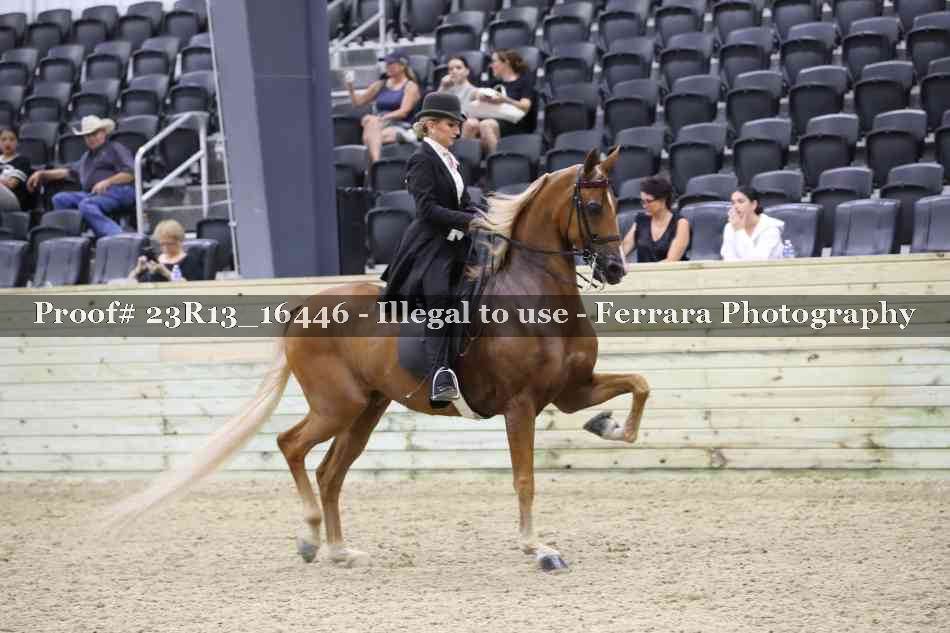 Proof 23R13_16446