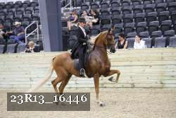 23R13_16446 proof