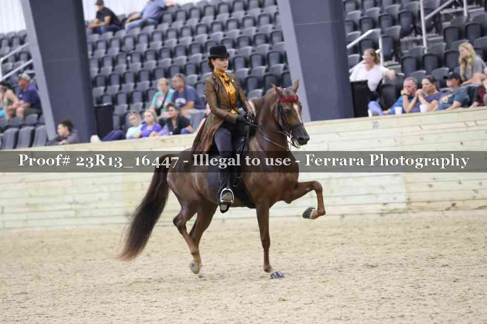 Proof 23R13_16447