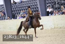 23R13_16447 proof