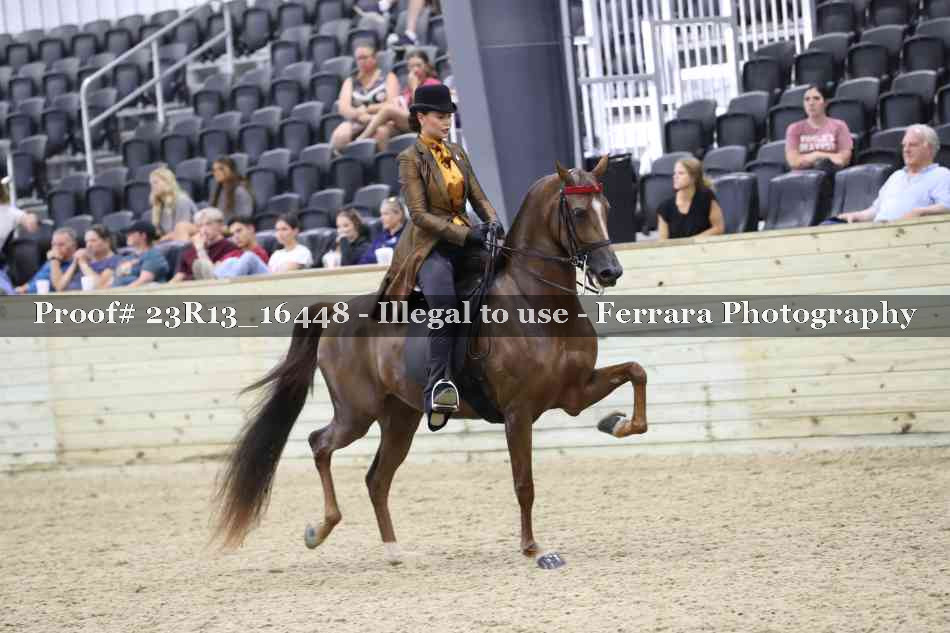 Proof 23R13_16448