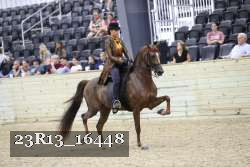 23R13_16448 proof