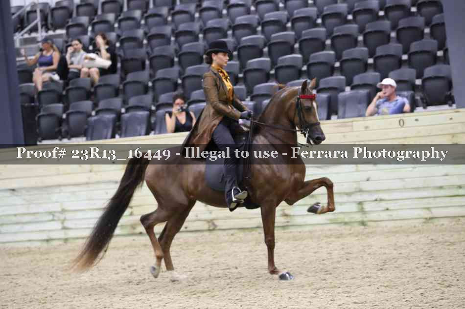 Proof 23R13_16449