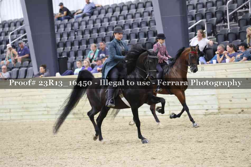 Proof 23R13_16450