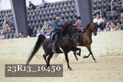 23R13_16450 proof