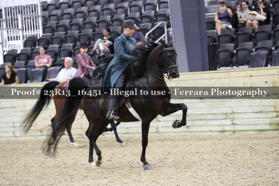 Proof 23R13_16451