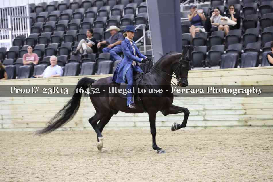 Proof 23R13_16452