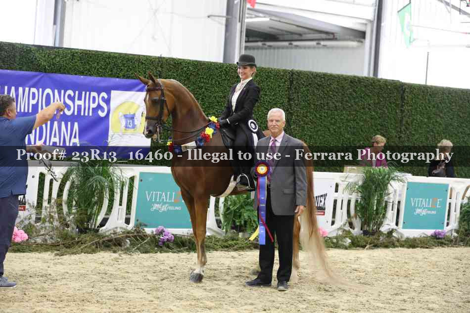 Proof 23R13_16460