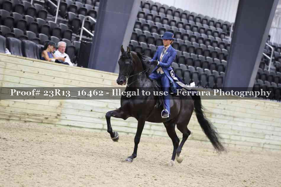 Proof 23R13_16462