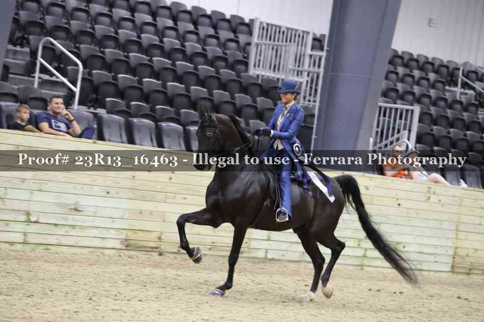 Proof 23R13_16463