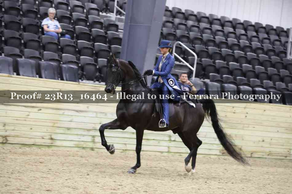 Proof 23R13_16464