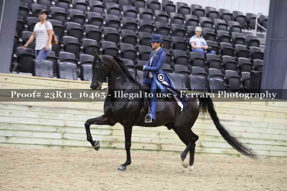 Proof 23R13_16465