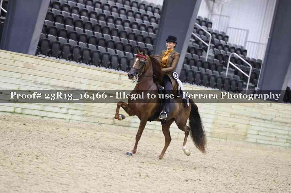 Proof 23R13_16466