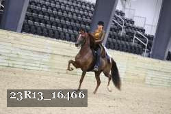 23R13_16466 proof