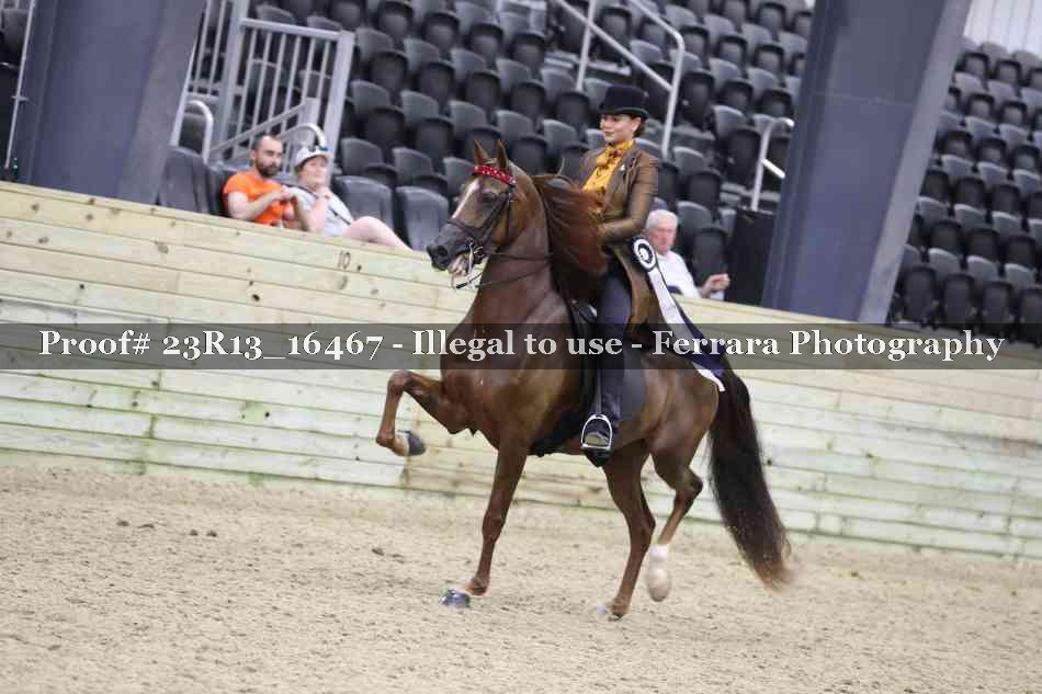 Proof 23R13_16467