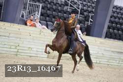 23R13_16467 proof