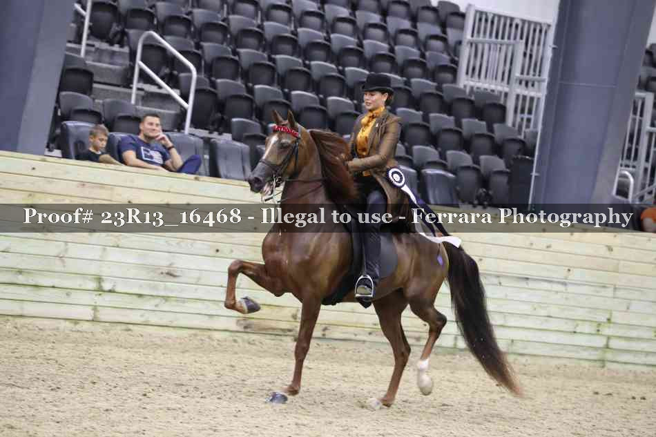Proof 23R13_16468