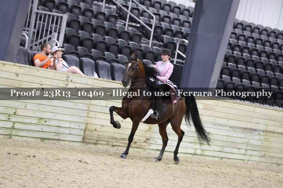 Proof 23R13_16469