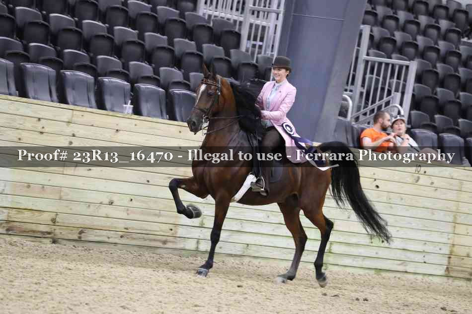 Proof 23R13_16470