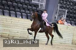 23R13_16470 proof