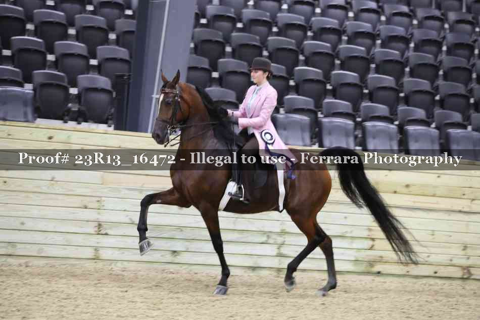 Proof 23R13_16472