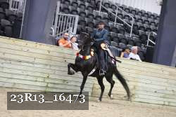 23R13_16473 proof
