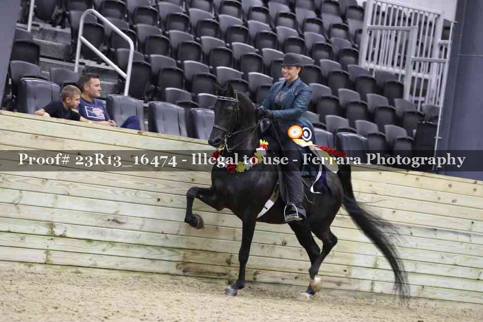 Proof 23R13_16474