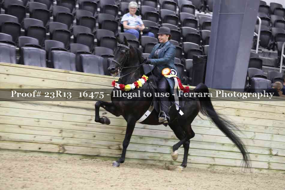 Proof 23R13_16475