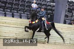 23R13_16475 proof