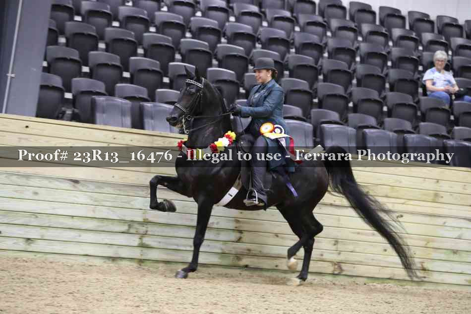 Proof 23R13_16476