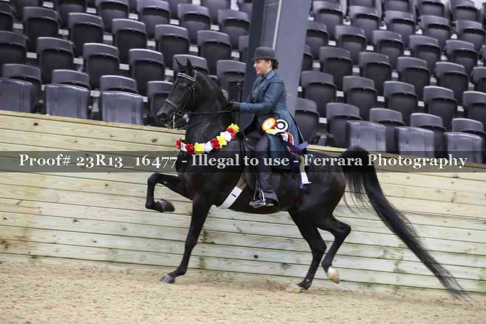 Proof 23R13_16477