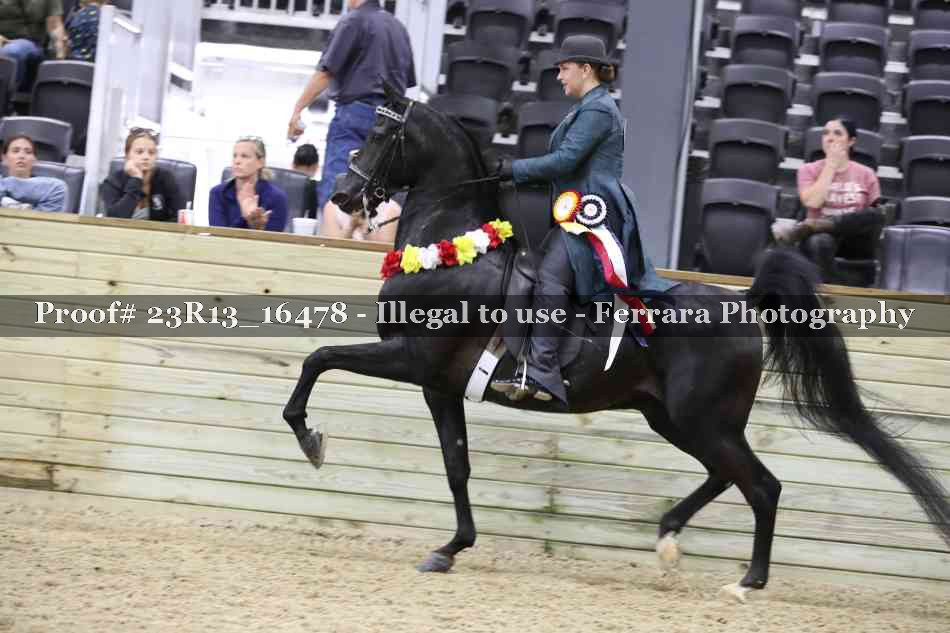 Proof 23R13_16478